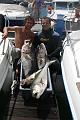 Pesca 135